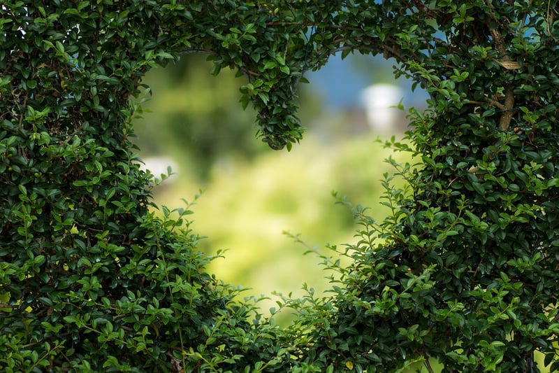 Garden Romance